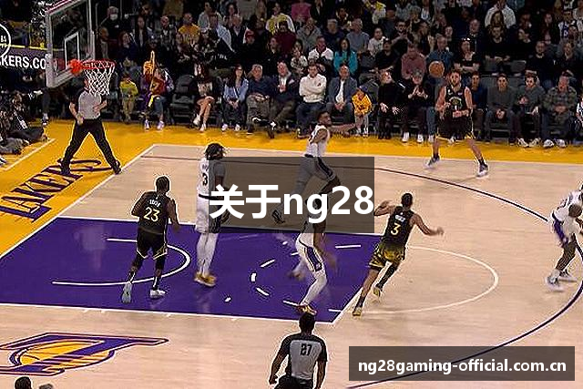 关于ng28